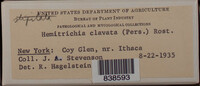 Image Associated With the Occurence